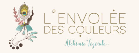 envolee des couleurs logo